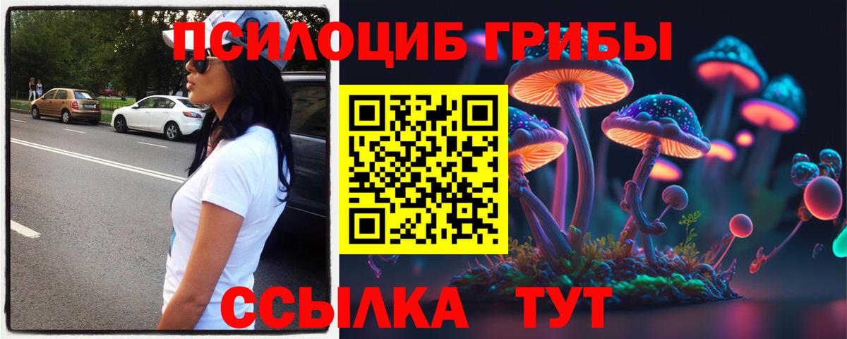 Псилоцибиновые грибы GOLDEN TEACHER Семёнов